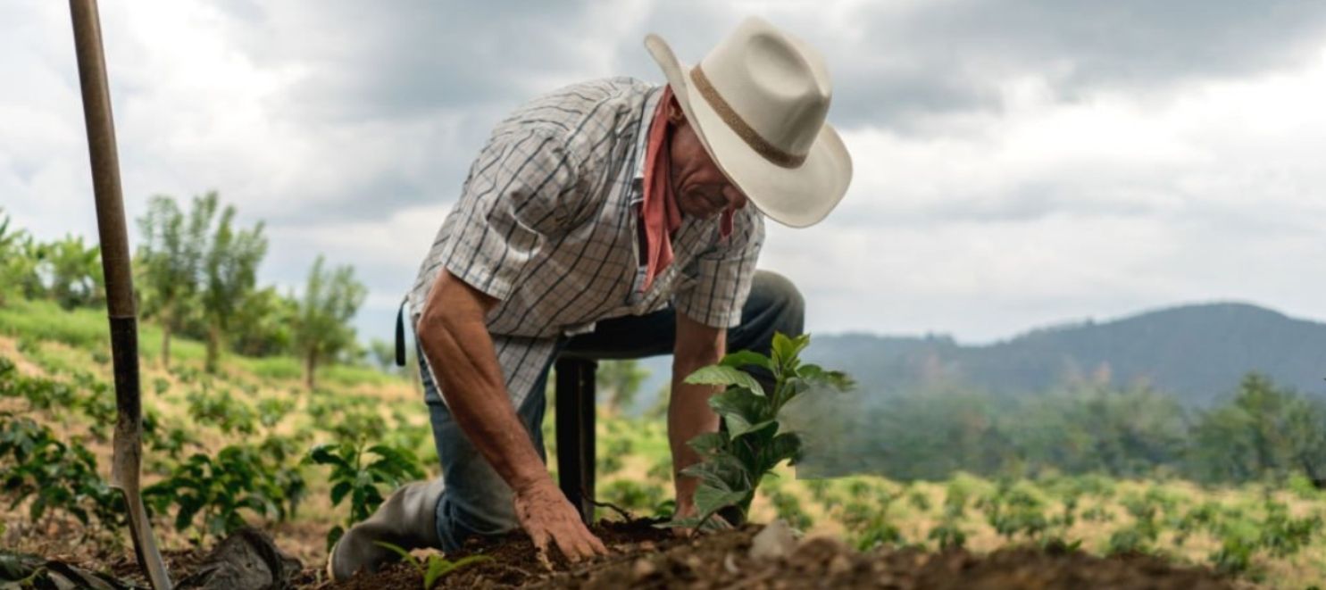 Liquidación sentencias judiciales - Estabilidad financiera inmediata